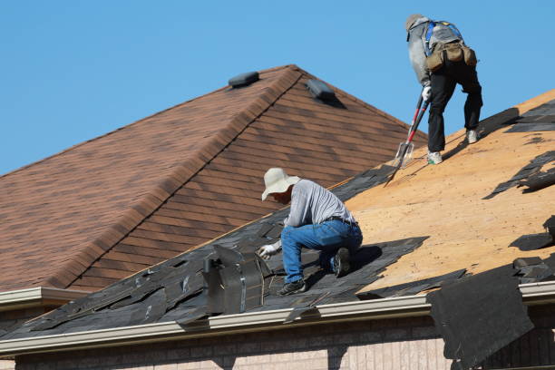 Best Roof Insulation Installation  in Bertram, TX